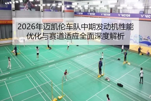 nian-mai-kai-lun-che-dui-zhong-qi-fa-dong-ji-xing-neng-you-hua-yu-sai-dao-shi-ying-quan-mian-shen-du-jie-xi-2-715.jpg